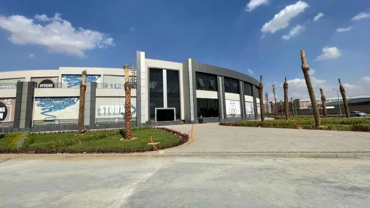 Modern commercial building with palm trees and clear sky.